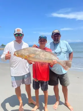 Three people standing barefoot on a sandy beach holding a large fish